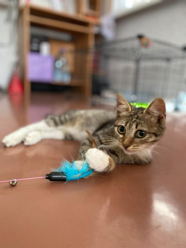 FBF01D29-4C3A-4E73-BE97-B39E10218068