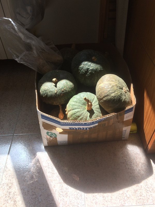 8BBBA56B-686D-48AF-9CC6-06A35E6627B3