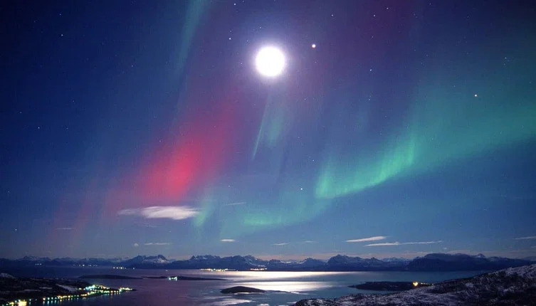 aurora purpura bodo