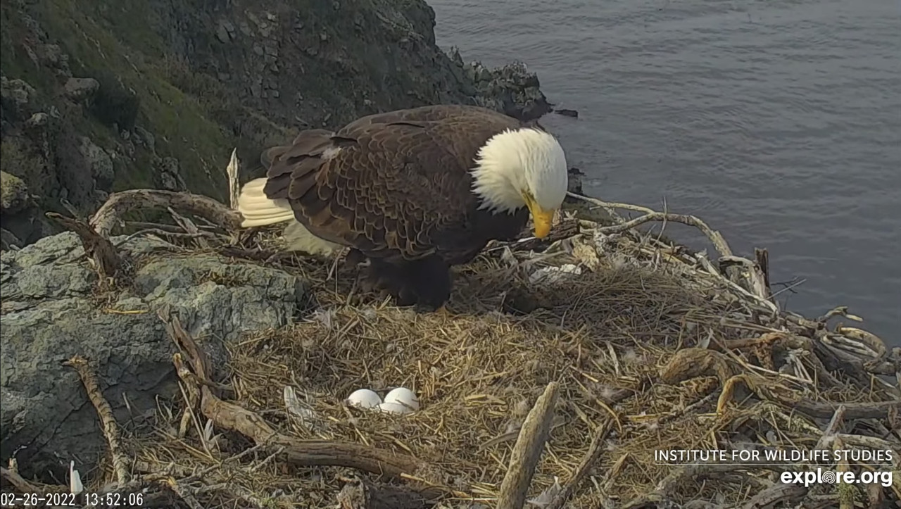 CE780B12-28B9-433E-BF04-EAF96A6665C5