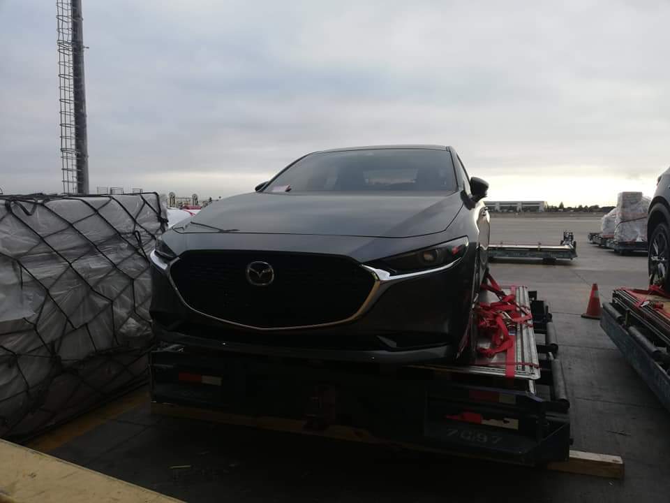 WhatsApp Image 2019-02-22 at 11.24.25(1)