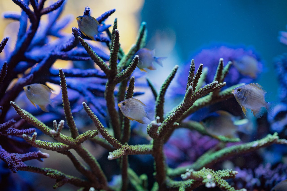 3E86E221-81CD-4F4C-A253-904028011486