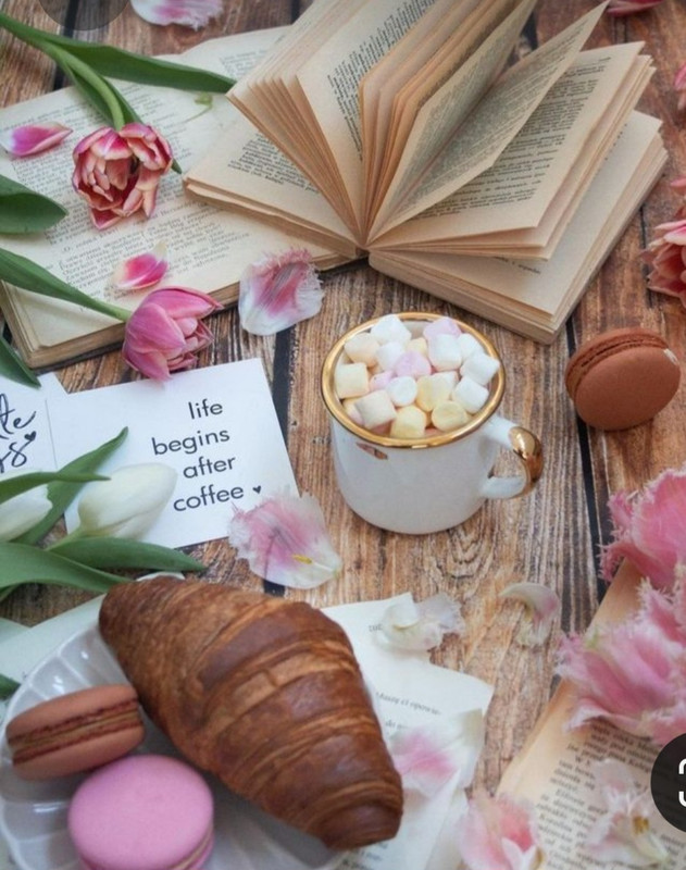 Screenshot_20230330_230810_Pinterest