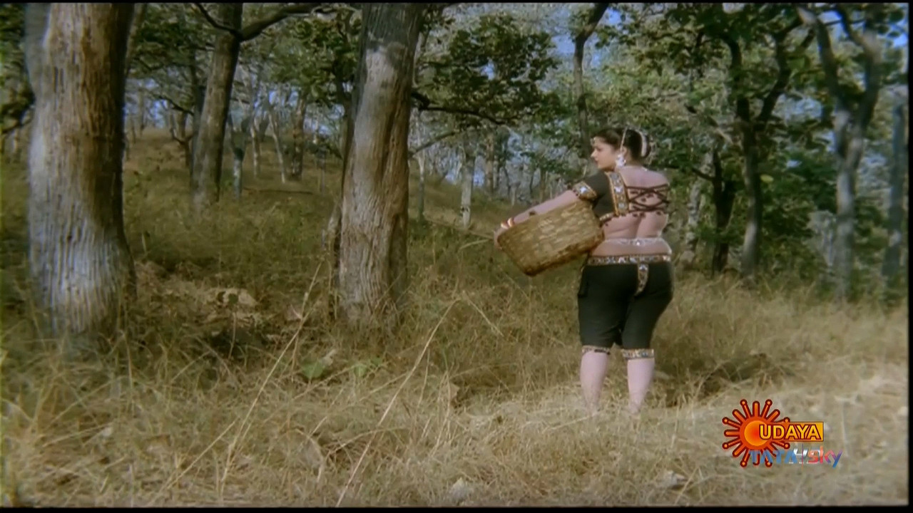 Jayamalini Hot Jungle Song~HDTV.mp4_20201018_181359.346