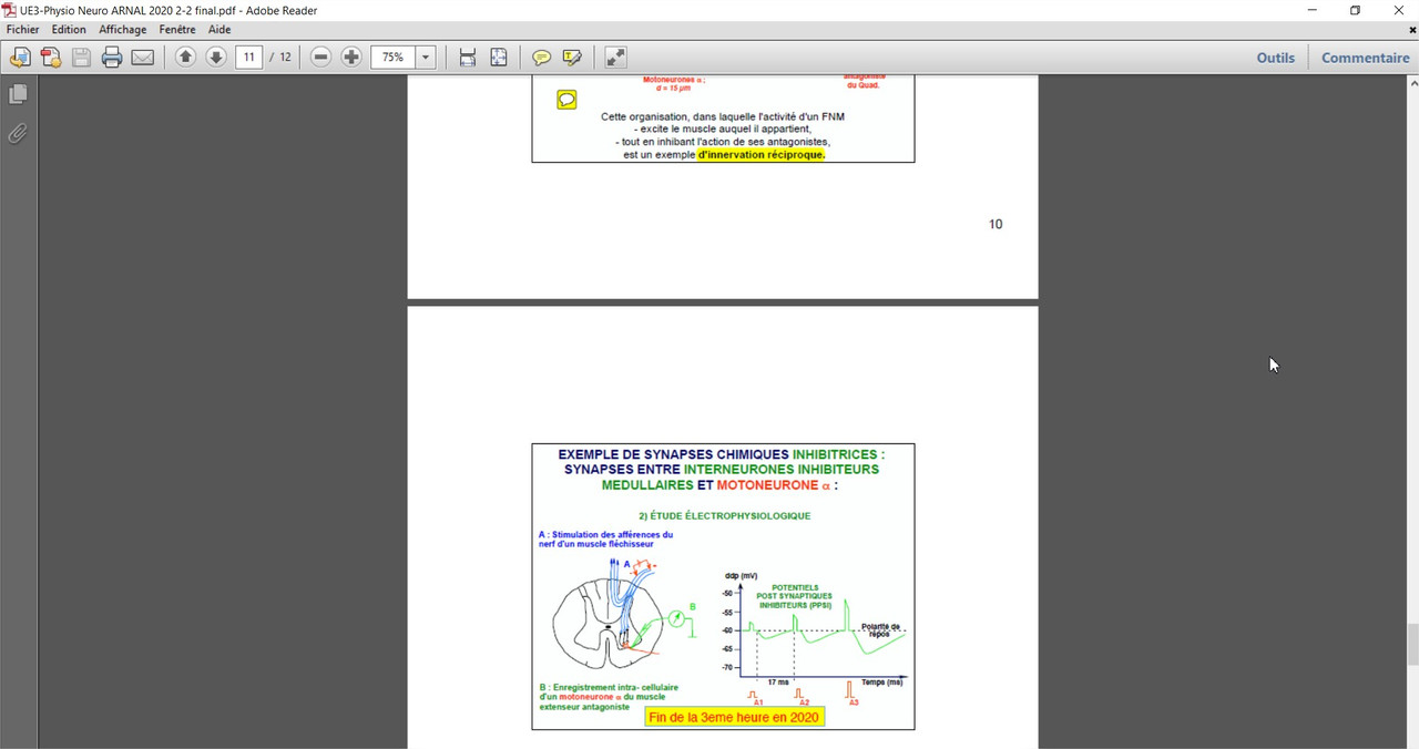 UE3-Physio Neuro ARNAL 2020 2-2 final.pdf - Adobe Reader