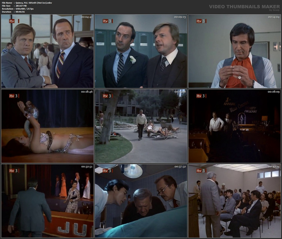 Quincy, M.E. S05e05 (Hot Ice).mkv