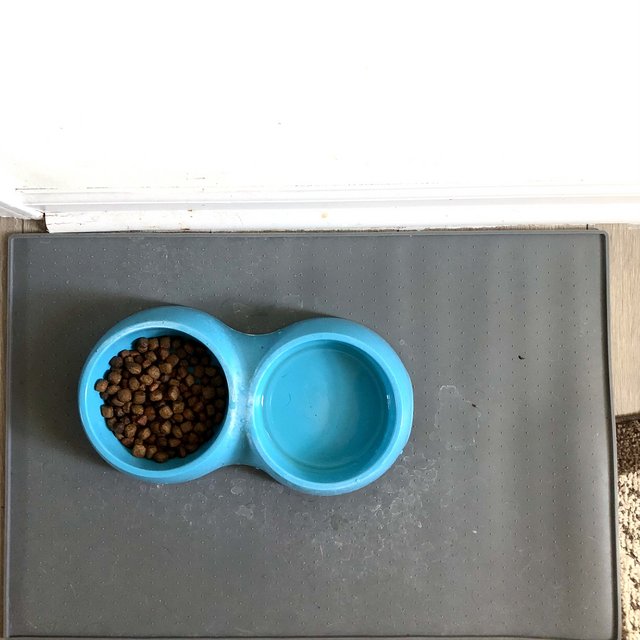 AE7825E6-E49D-41B4-9EF7-029DB71B66A5