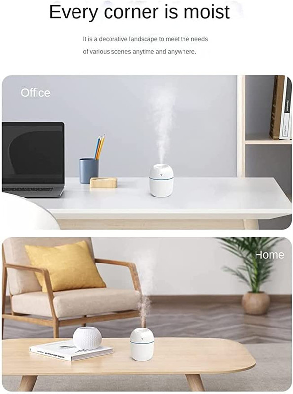 Humidifier 10