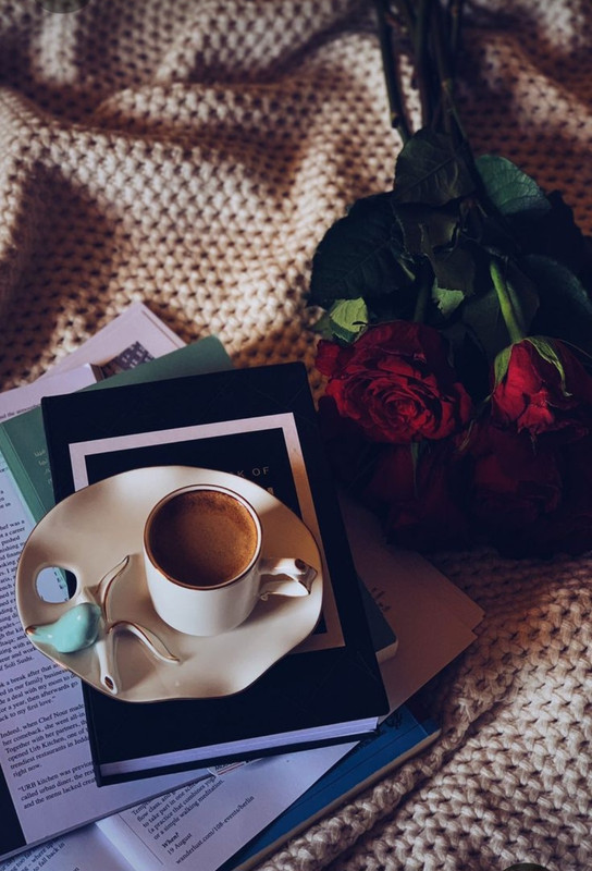 Screenshot_20230712_011313_Pinterest