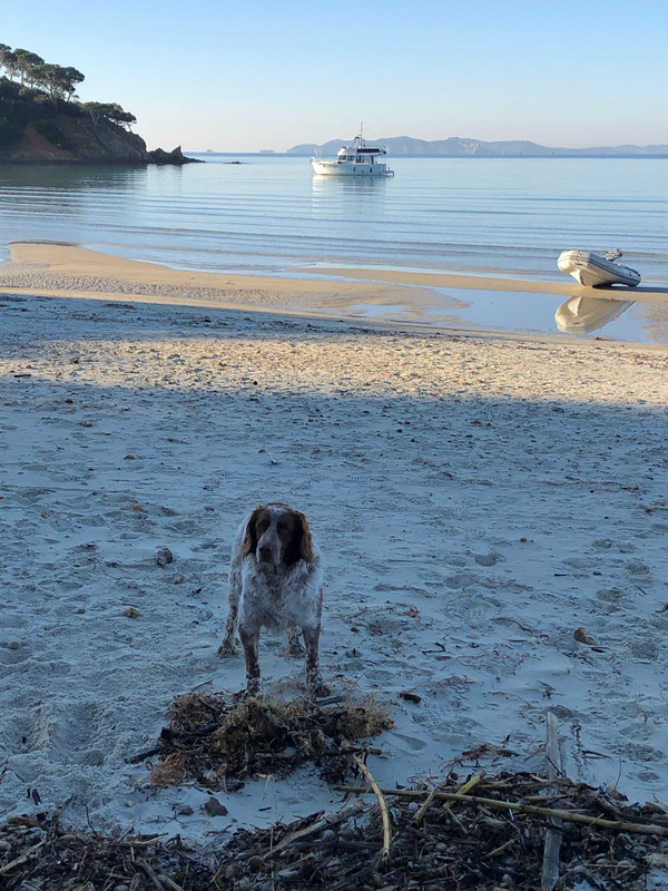 D3FB443A-8572-46C3-BFA7-7B46A0EE59C6