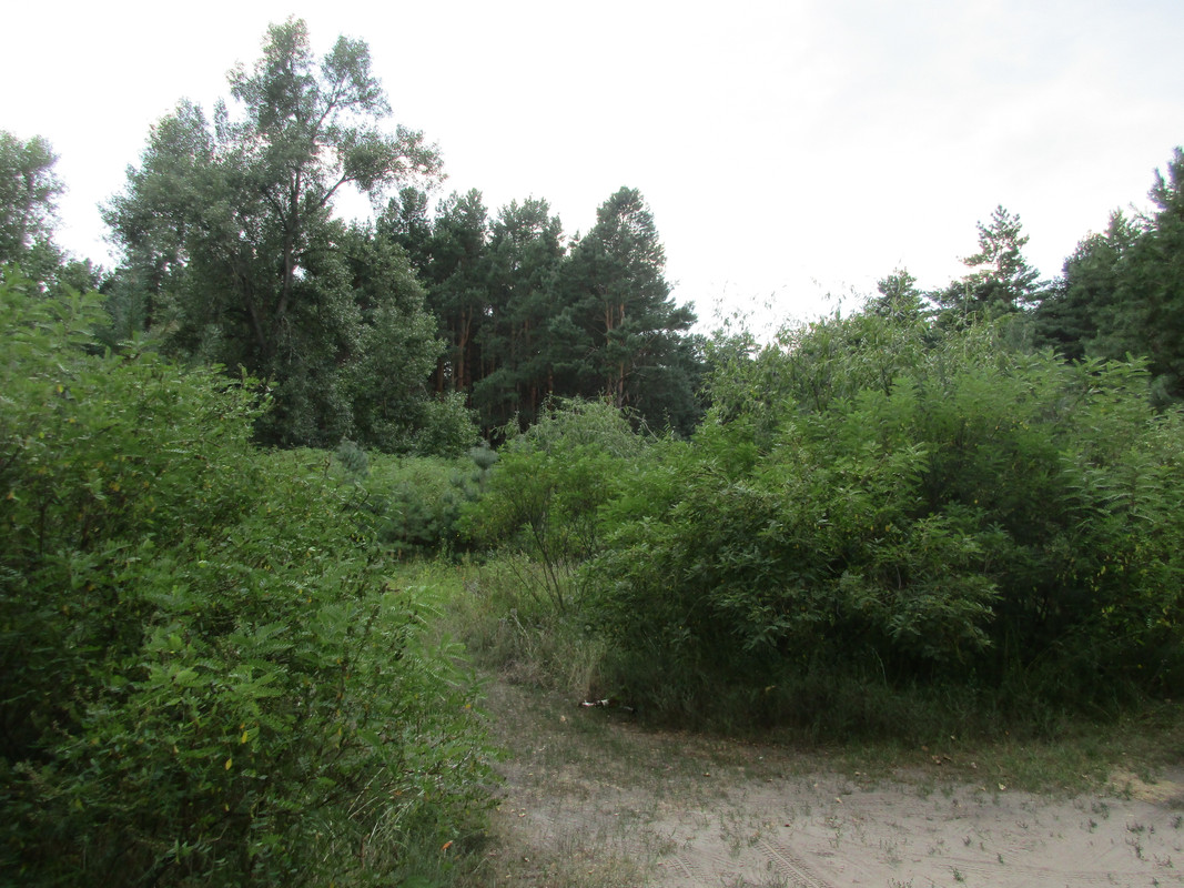 IMG-0056