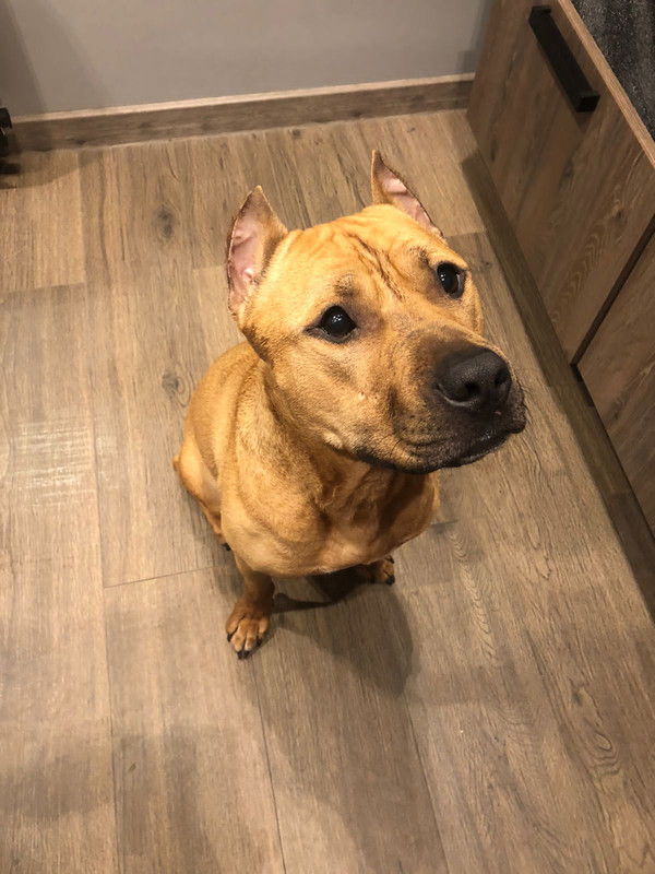 76B7319F-3387-43D4-A594-F7174F4A1CFE