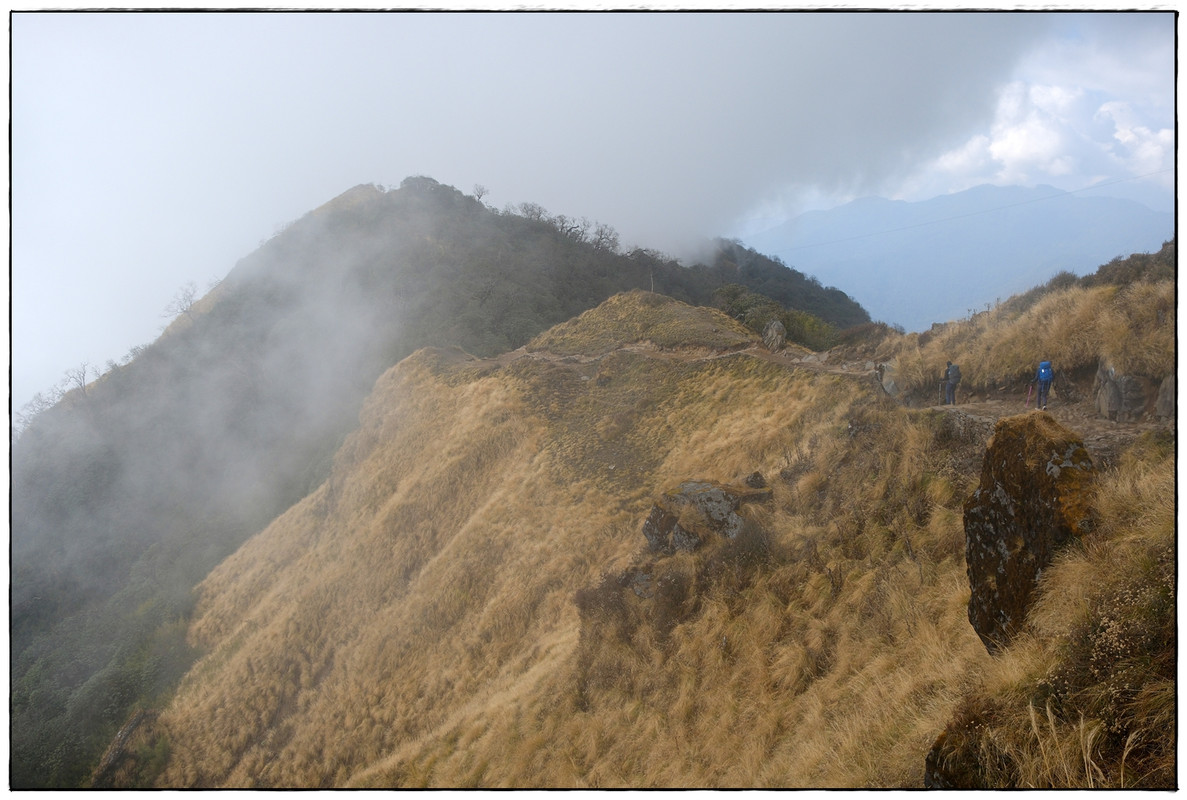 MH día 4: High Camp (3543 m) a Badal Danda (3365 m) - Trekking en Nepal: Annapurna Circuit y Mardi Himal (11)