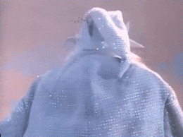 5.gif