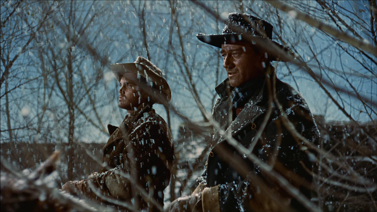 vlcsnap-2023-10-09-12h26m16s066