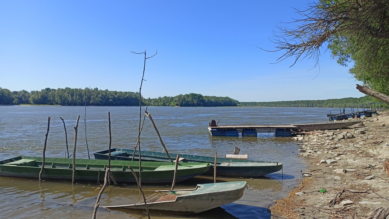 IMG20260426144808.jpg