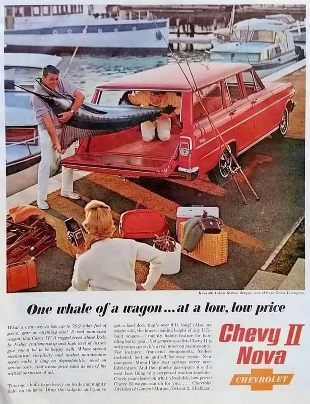 niva.jpg