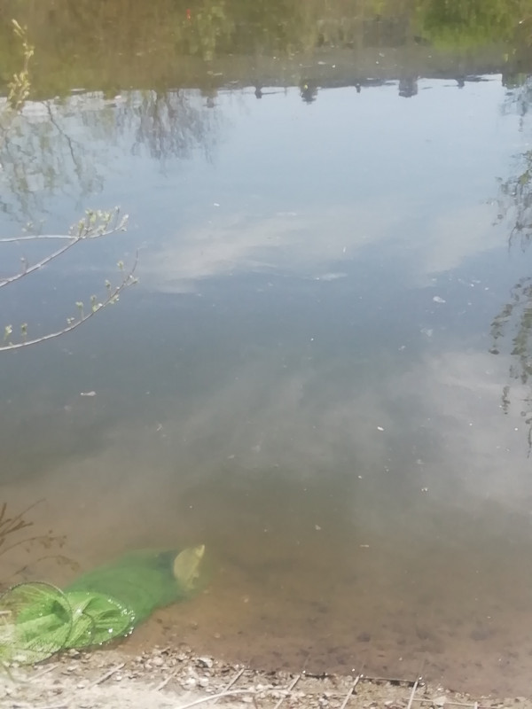 Изображение 1210