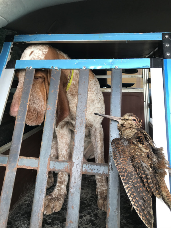 887E6E38-7B34-4A49-8A11-D1C09832C50A