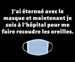 Humours - Page 24 100063786-291557368521408-6642255472604741632-n-1