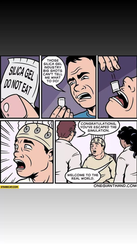 278475046-704749440666525-31173761227200