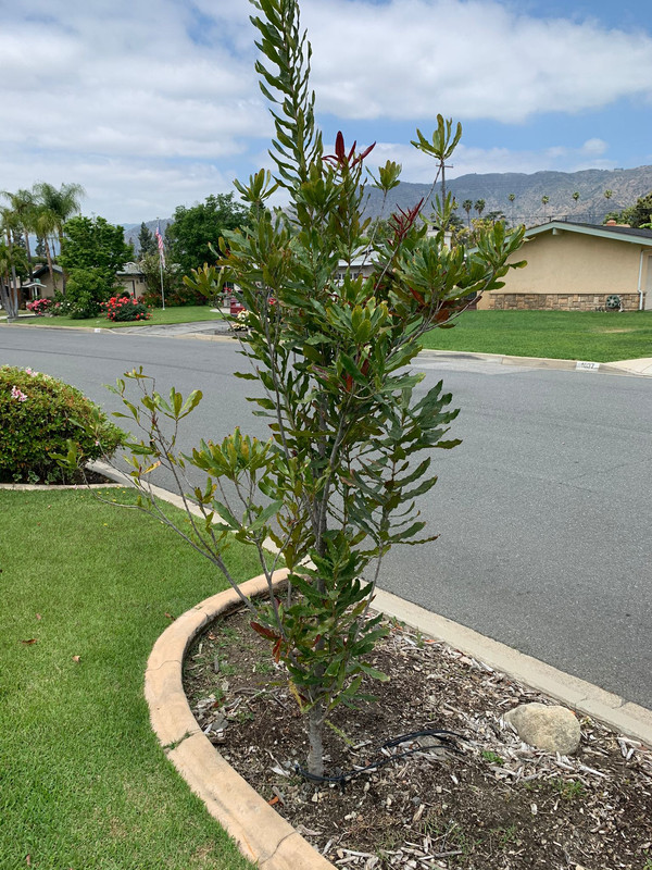 BE12CACF-2525-41BA-A819-EF514FCF1C76