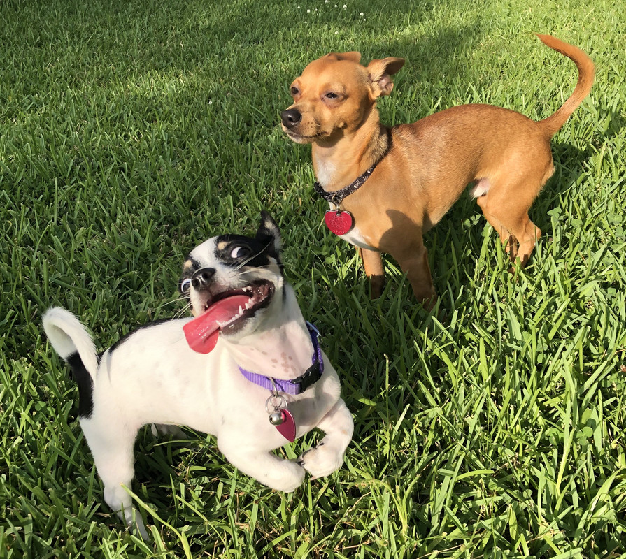 BE5AE151-ED92-4EE9-8558-CFD2F05DD08B