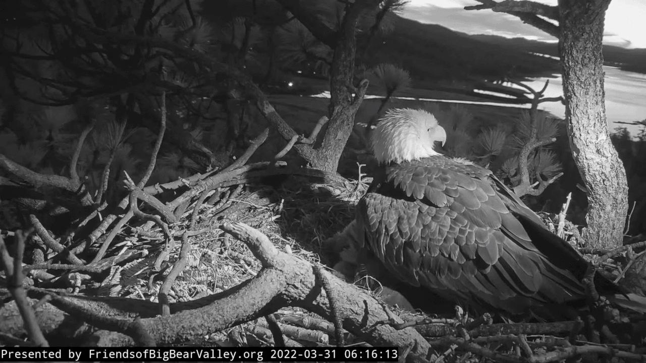 Webp.net-gifmaker (5)