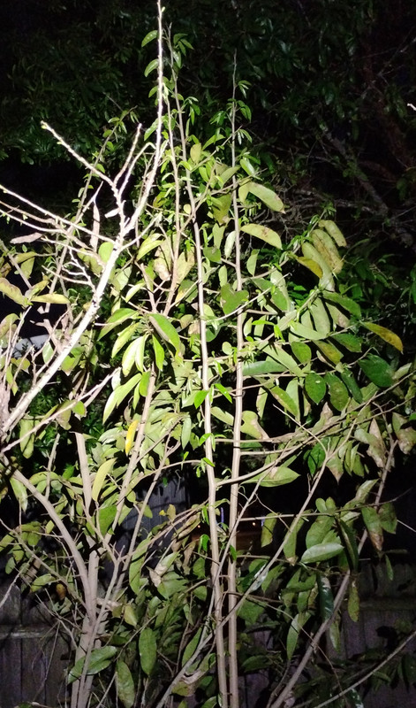 IMG 20260314 201234970 2