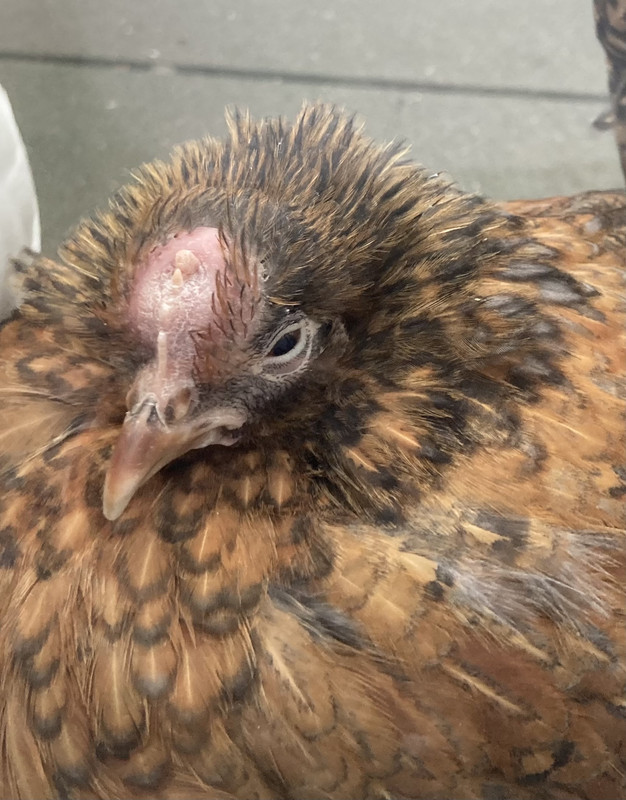 0C021B90-D33C-489A-94B7-1B9AFC453E1C