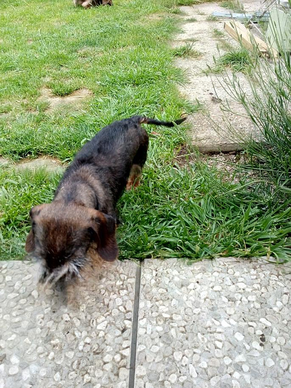 [Image: IMG-20210602-114540505.jpg]