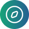 Icon 1