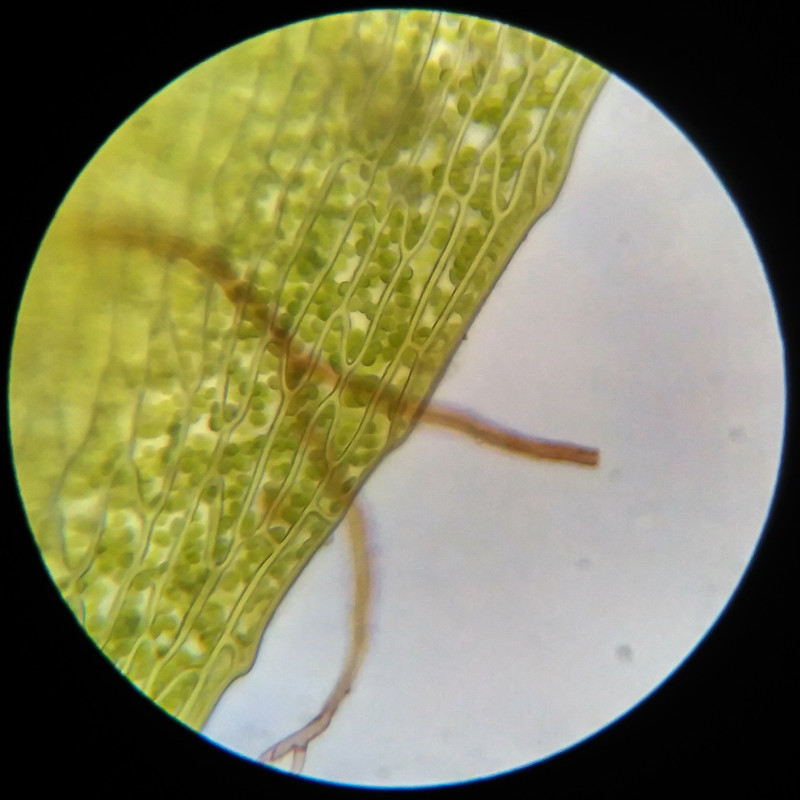 IMG 20250617 115055 HDR