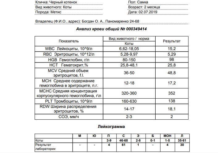 анализ кровиобщий 020719
