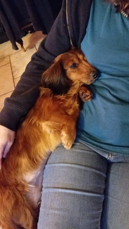 [Image: IMG-20241018-WA0004.jpg]