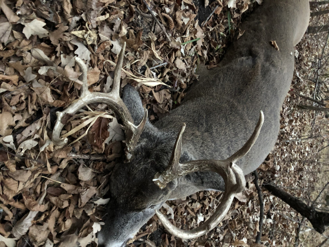 62656867167__FC8D4912-C93E-465D-BB1E-67C05D5C9F87