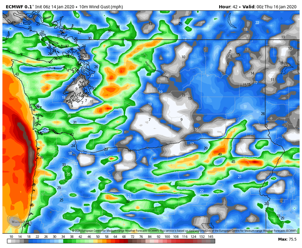 ecmwf-deterministic-washington-gust-mph-