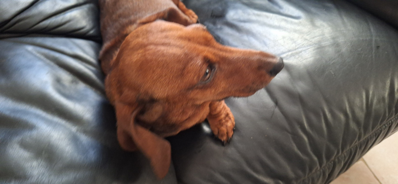 [Image: 20251126-093534.jpg]