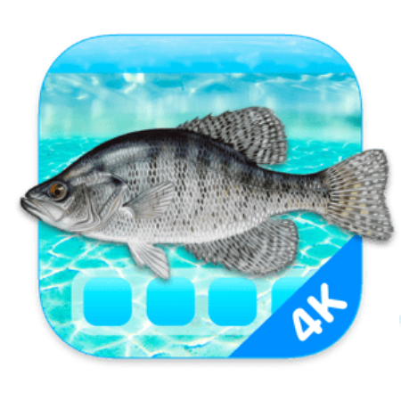 Aquarium 4K - Live Wallpaper 1.0.4 macOS Aquarium 4K - Live Wallpaper 1.0.4 macOS