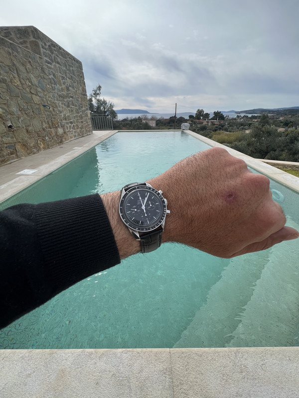 343F6496-2D5C-46FC-B8B7-59CDCCF8B5B4