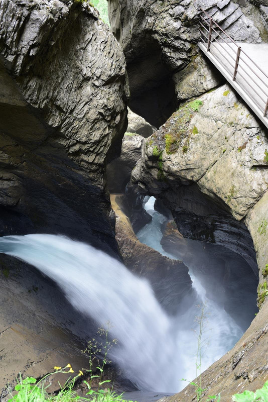 De casa a Grindelwald (Zona de Interlaken) - Huyendo del COVID a los Alpes (2020) (15)