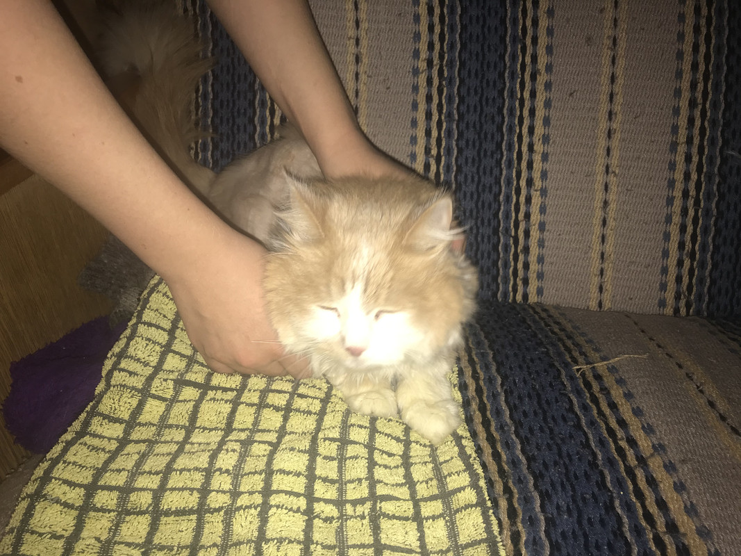 EF383C8F-083B-4A33-884A-59CAFCAF9C5A