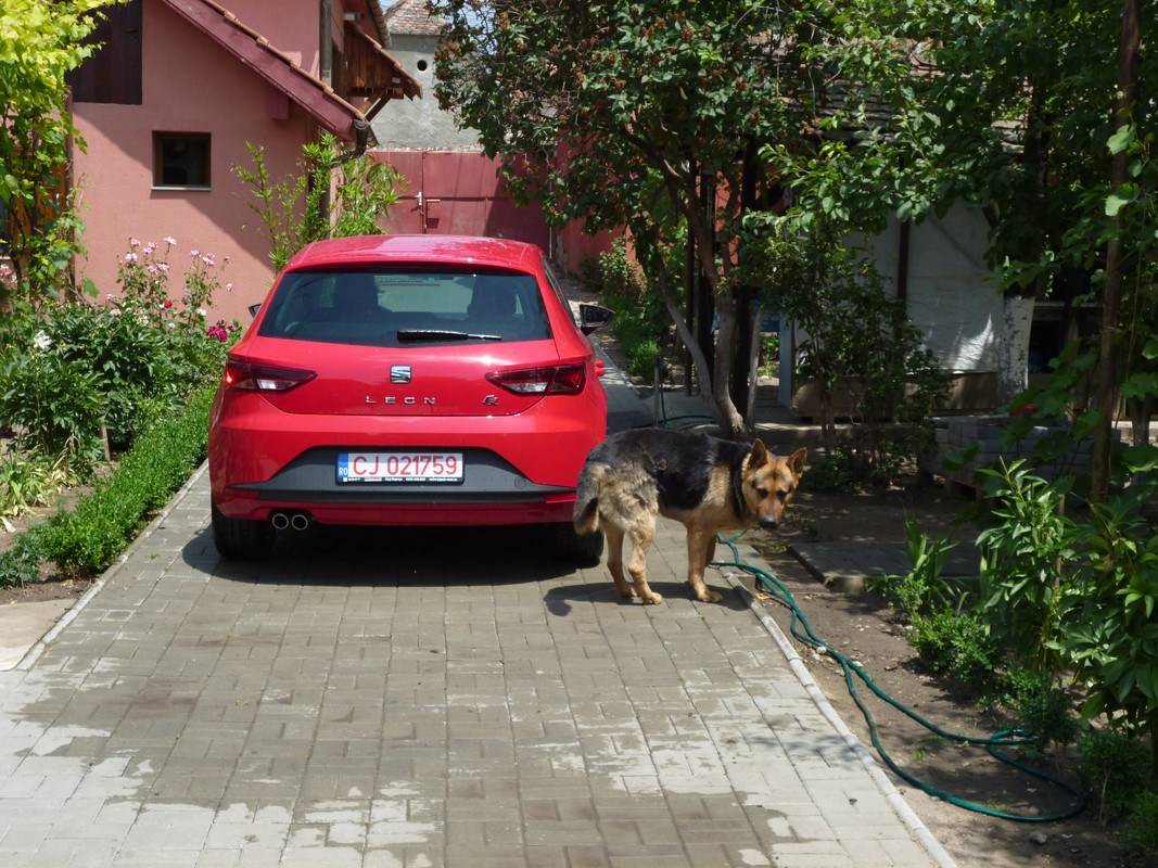 P1000687