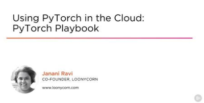 Using PyTorch in the Cloud: PyTorch Playbook