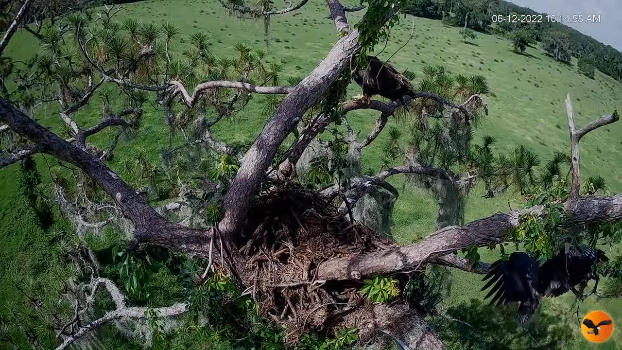 EC 4K Overhead Cam 10-57-38 screenshot