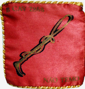BCav2868