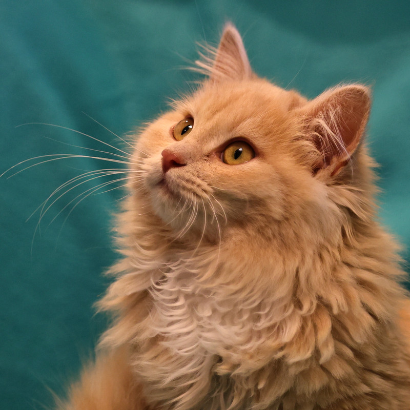 27DC84D1-B8C1-40D7-ABC8-F96D5B7C33F6