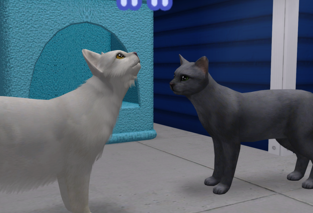 Sims2-EP9-RPC-2021-11-04-21-14-55-04