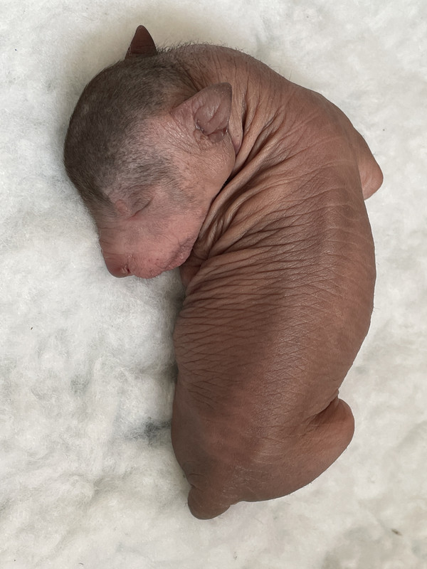 A80EFECD-F9D9-4A38-AFC2-AF94E9A32A60