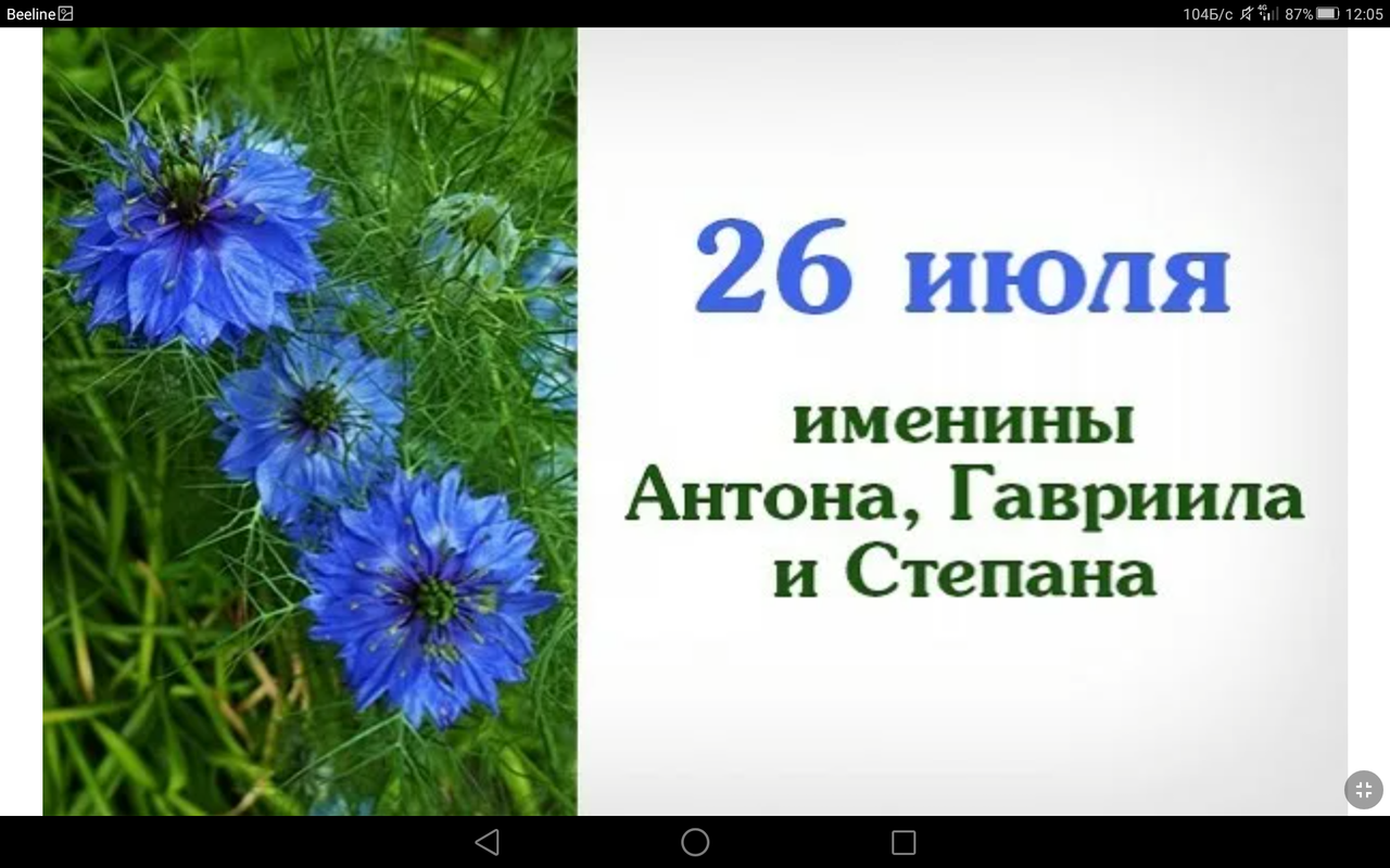 Screenshot_2023-07-26-12-05-55